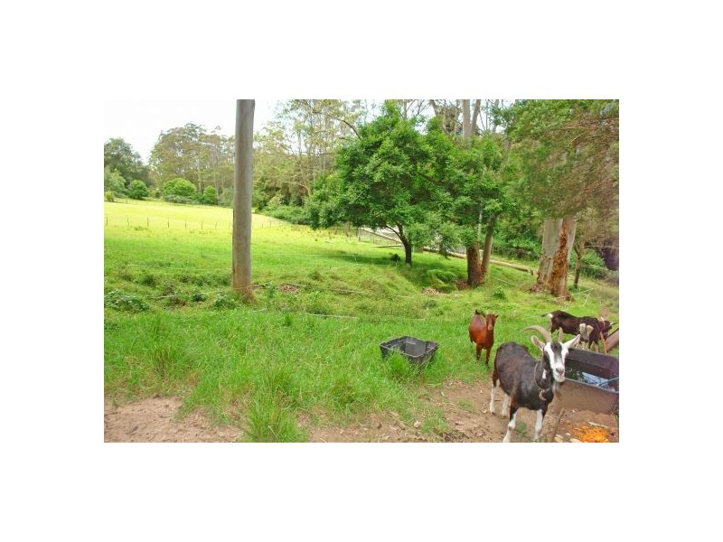 1 Heathcliff Close, Fountaindale NSW 2258