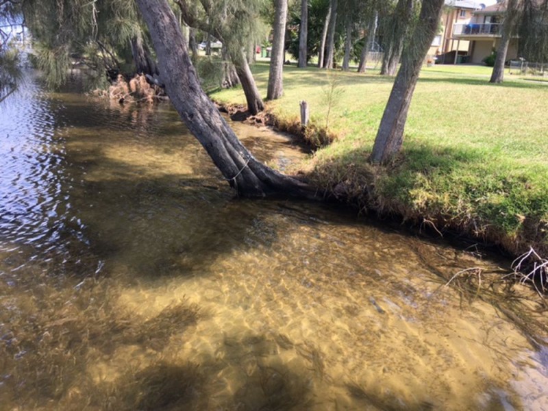 9a South Tacoma Road, Tacoma South NSW 2259