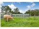621 Jilliby Road, Jilliby NSW 2259