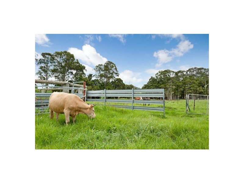 621 Jilliby Road, Jilliby NSW 2259