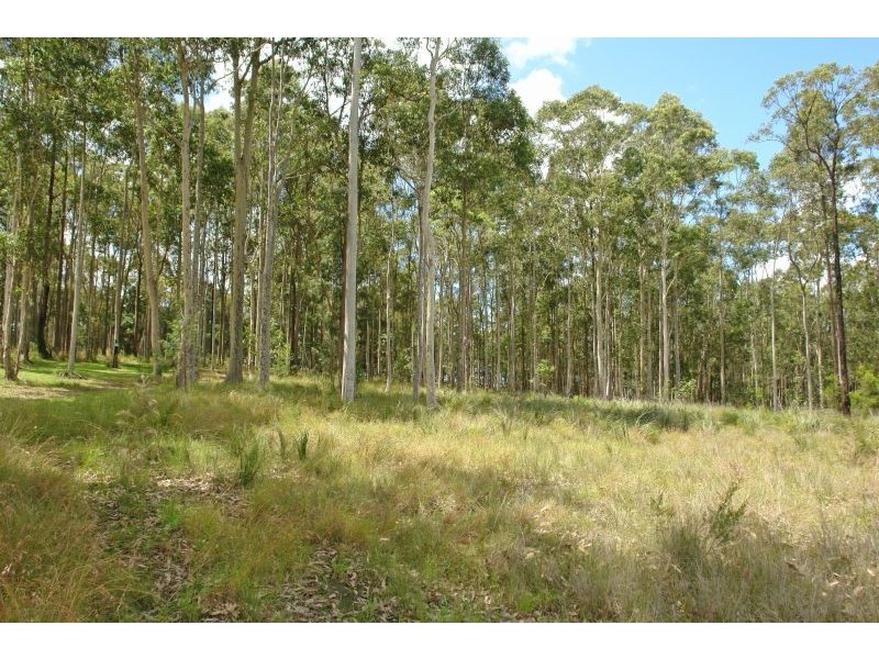 29 Burlington Avenue, Jilliby NSW 2259