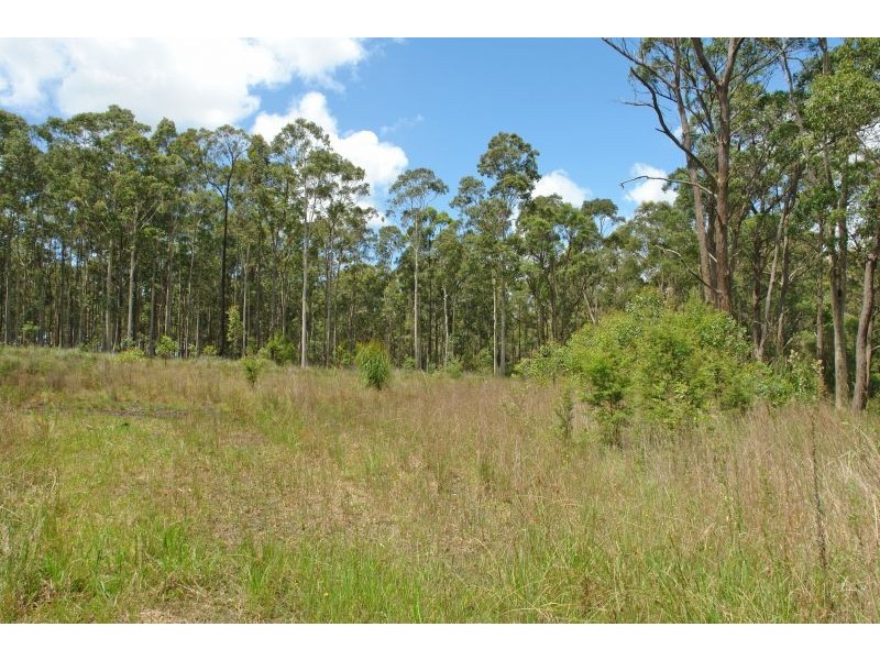 29 Burlington Avenue, Jilliby NSW 2259