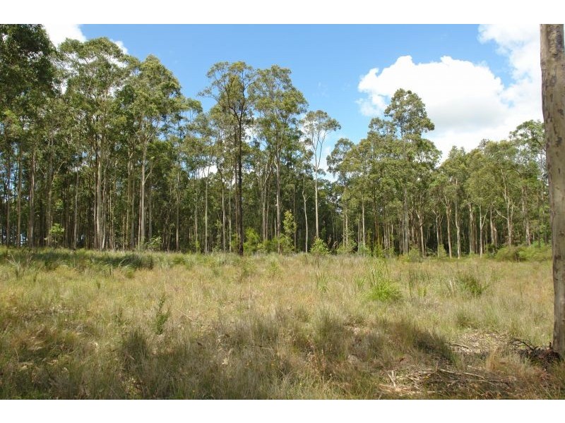 29 Burlington Avenue, Jilliby NSW 2259