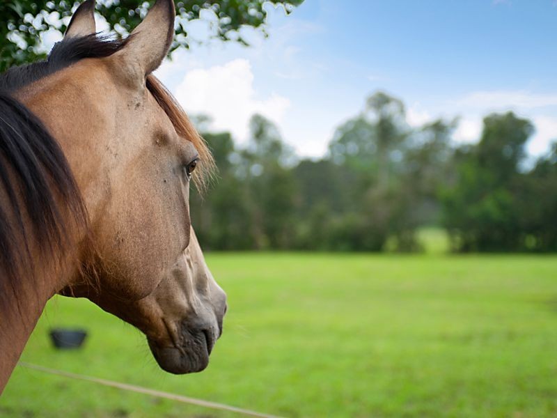 71 Durren Road, Jilliby NSW 2259