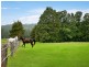 71 Durren Road, Jilliby NSW 2259