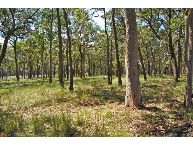 143 Schofield Road, Wyee NSW 2259