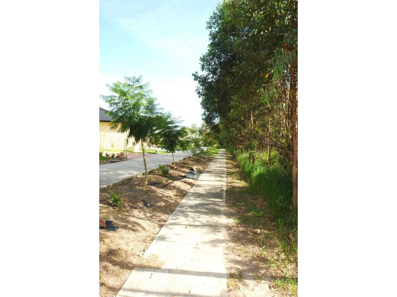 45 Barrington Drive, Woongarrah NSW 2259