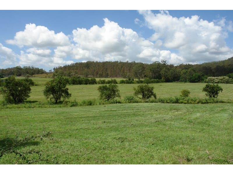 Lot 1, Dittons Lane, Dooralong NSW 2259