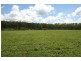 Lot 1, Dittons Lane, Dooralong NSW 2259