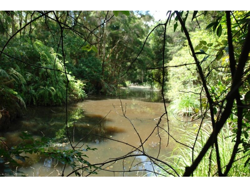 Lot 1, Dittons Lane, Dooralong NSW 2259