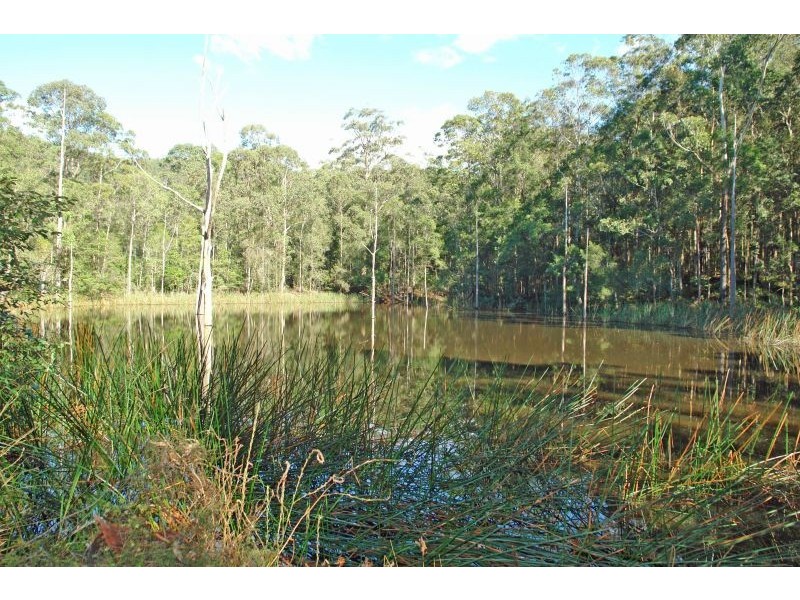 Lot 2, Dittons Lane, Dooralong NSW 2259