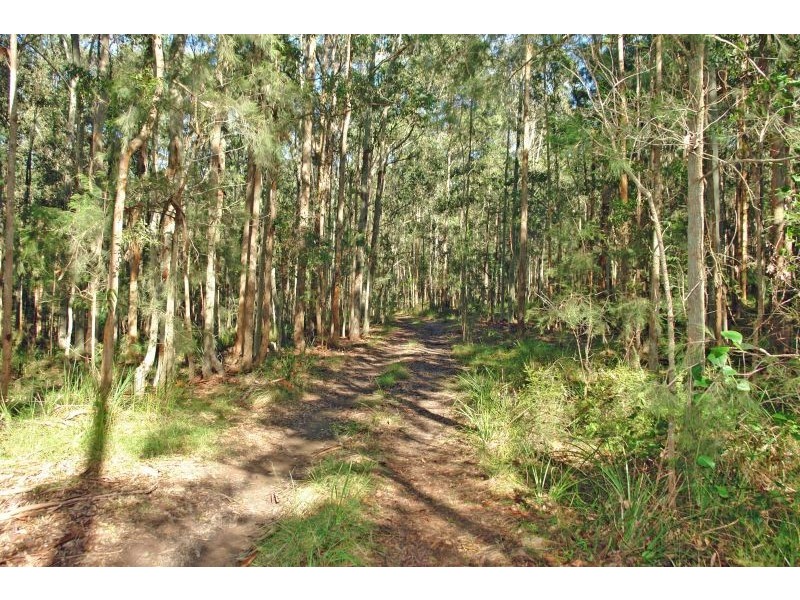 Lot 2, Dittons Lane, Dooralong NSW 2259