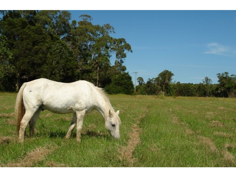 226 Jilliby Road, Jilliby NSW 2259