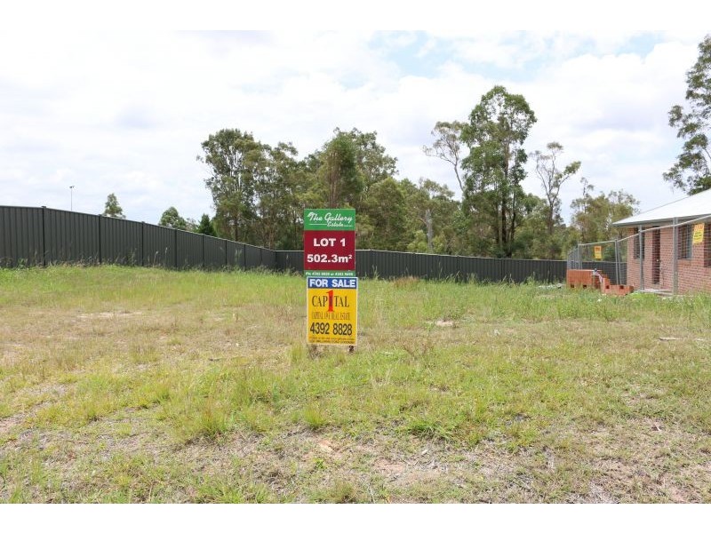 Lot 1 Raintree Terrace, Wadalba NSW 2259