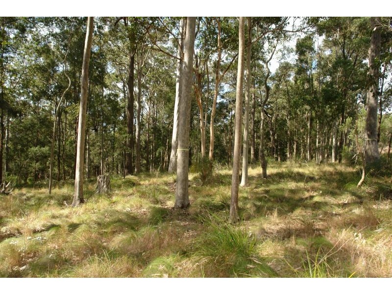 Lot 5 Woods Road, Jilliby NSW 2259