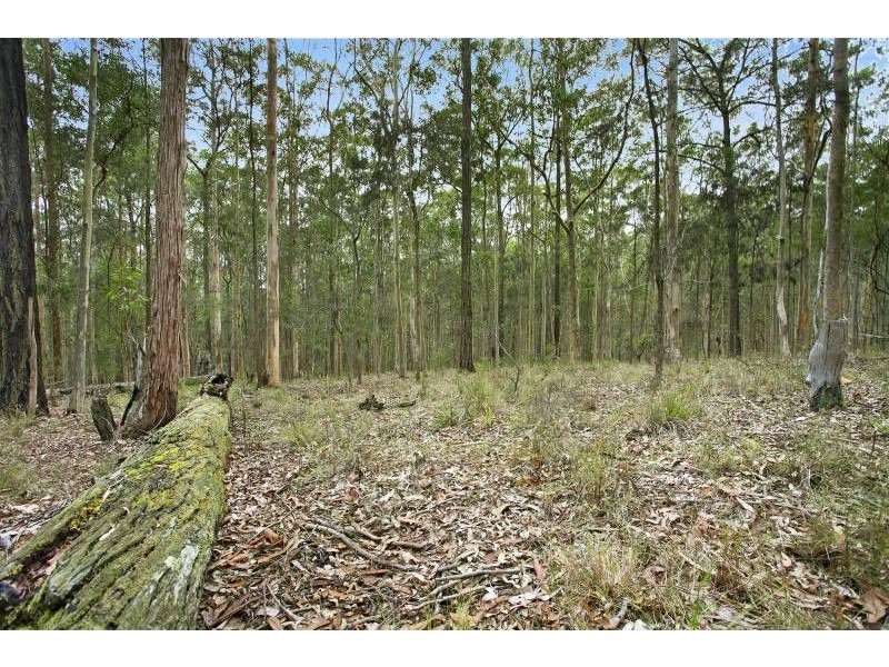Lot 5 Woods Road, Jilliby NSW 2259