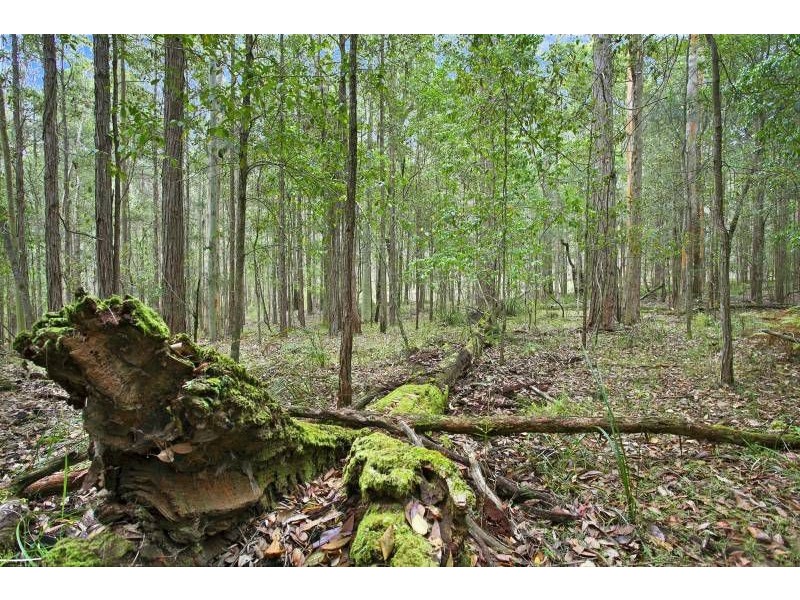 Lot 5 Woods Road, Jilliby NSW 2259