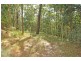 Lot 5 Woods Road, Jilliby NSW 2259