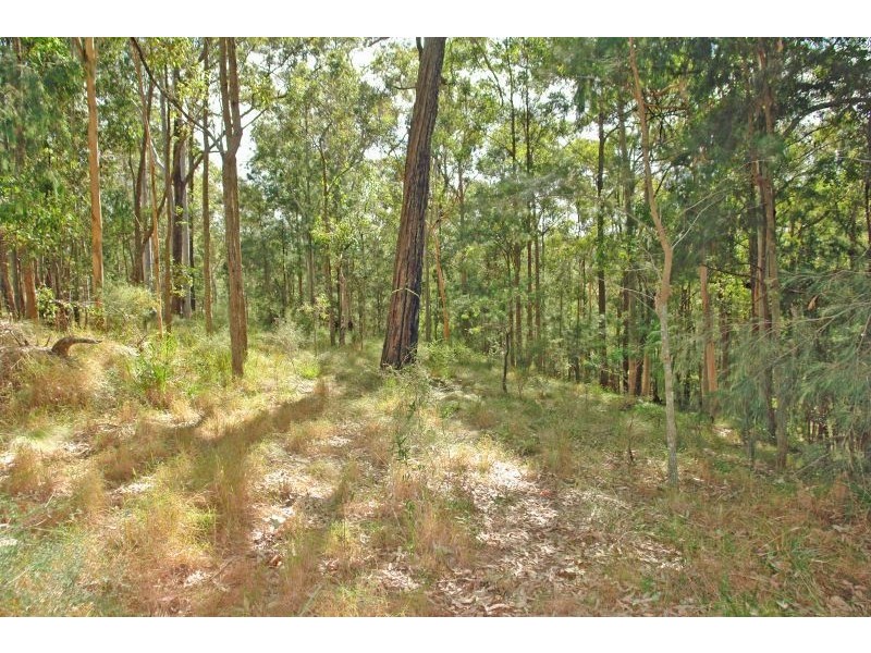 Lot 5 Woods Road, Jilliby NSW 2259