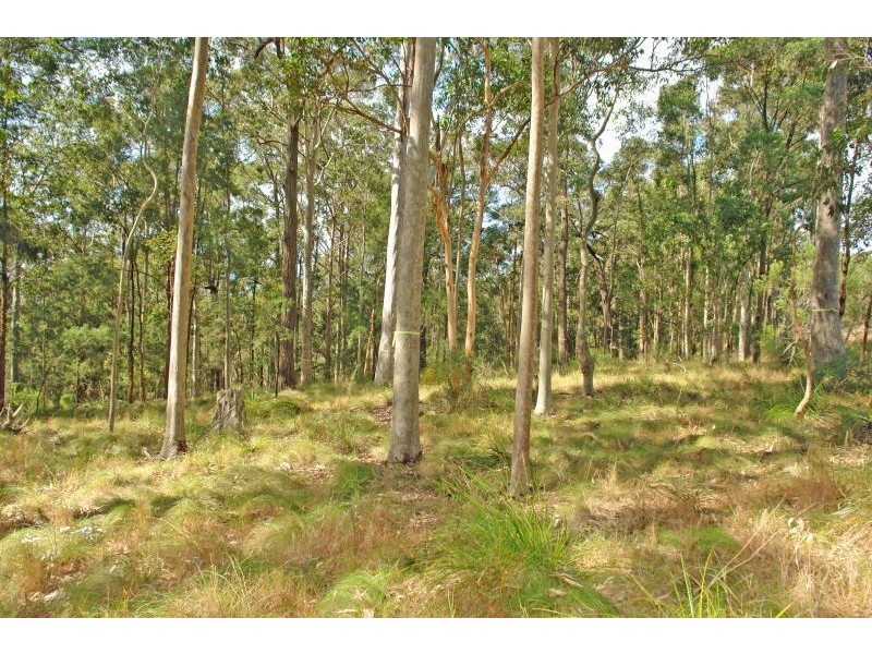 Lot 5 Woods Road, Jilliby NSW 2259