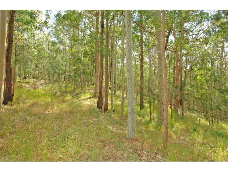 Lot 15 Woods Road, Jilliby NSW 2259
