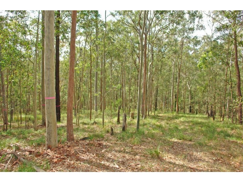Lot 15 Woods Road, Jilliby NSW 2259