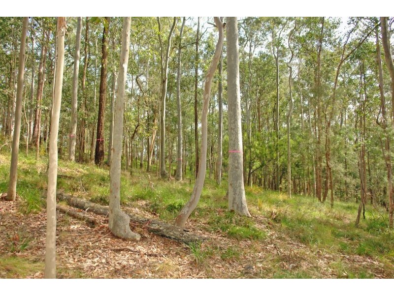 Lot 15 Woods Road, Jilliby NSW 2259