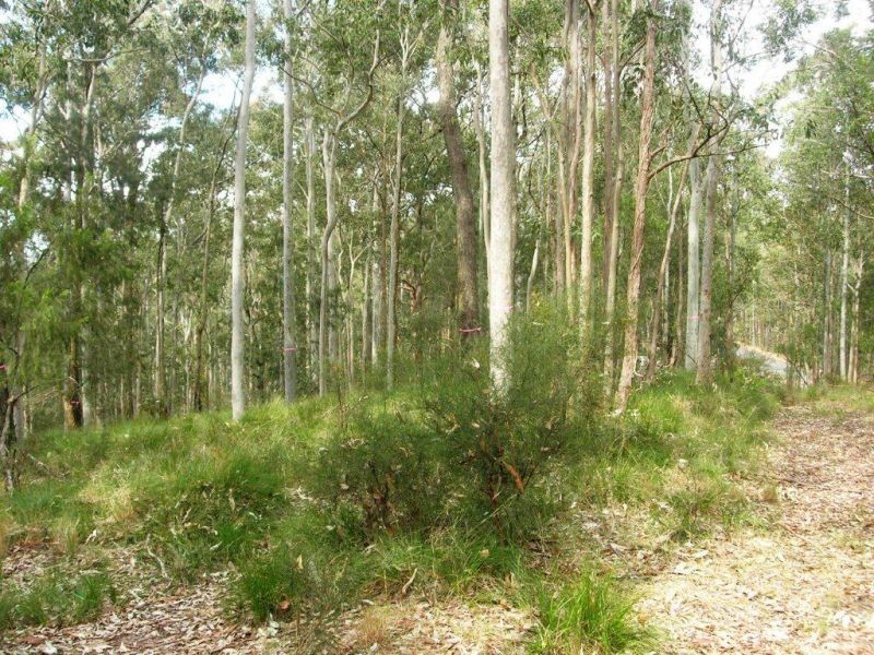 Lot 15 Woods Road, Jilliby NSW 2259