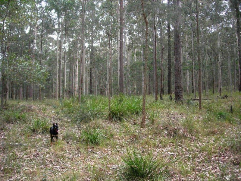 Lot 15 Woods Road, Jilliby NSW 2259