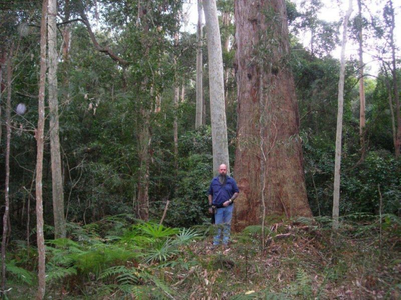 Lot 15 Woods Road, Jilliby NSW 2259