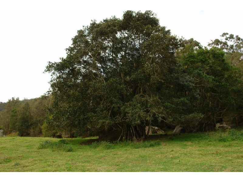 Lot 22 Ravensdale Road, Ravensdale NSW 2259