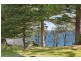 158 Tuggerawong Road, Wyongah NSW 2259