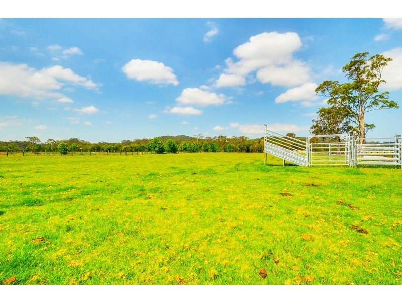 473 Jilliby Road, Jilliby NSW 2259