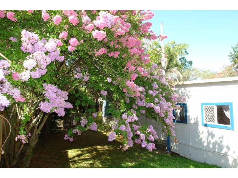 6 Panonia Road, Wyong NSW 2259