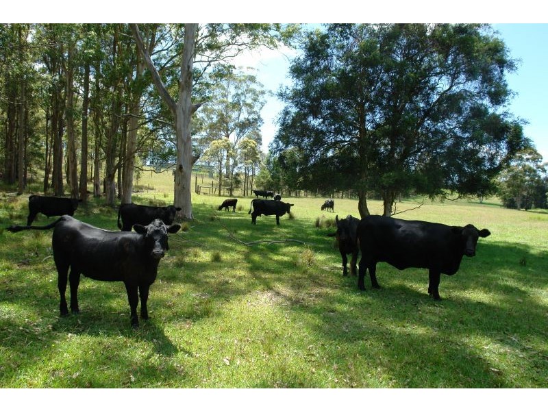 Lot 4 Woods Road, Jilliby NSW 2259