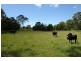 Lot 4 Woods Road, Jilliby NSW 2259