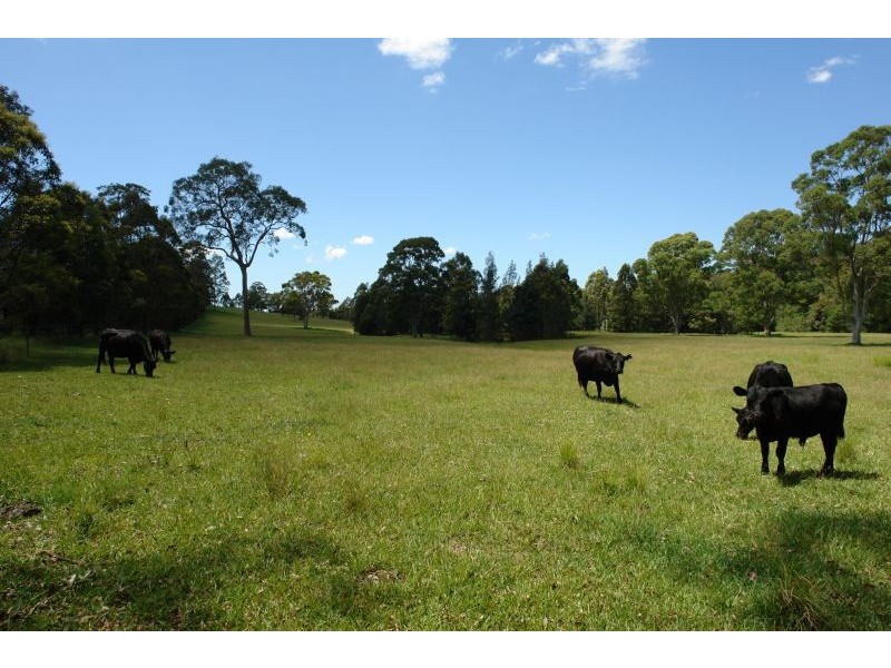 Lot 4 Woods Road, Jilliby NSW 2259