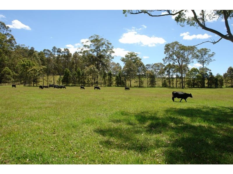 Lot 4 Woods Road, Jilliby NSW 2259