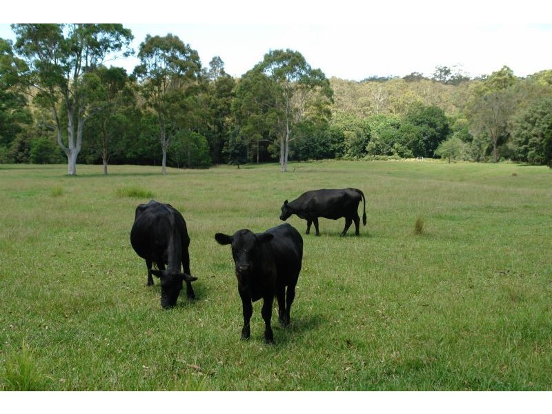Lot 4 Woods Road, Jilliby NSW 2259