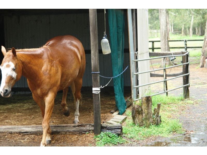 17 South Tacoma Road, Tacoma South NSW 2259