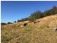 3 Rose Hill Lane, Yarramalong NSW 2259