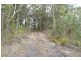 Lot 144 & 145 Brush Creek Road, Cedar Brush Creek NSW 2259