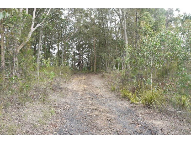 Lot 144 & 145 Brush Creek Road, Cedar Brush Creek NSW 2259
