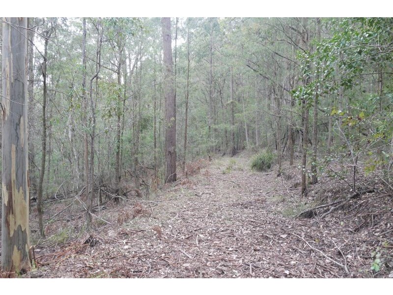 Lot 144 & 145 Brush Creek Road, Cedar Brush Creek NSW 2259