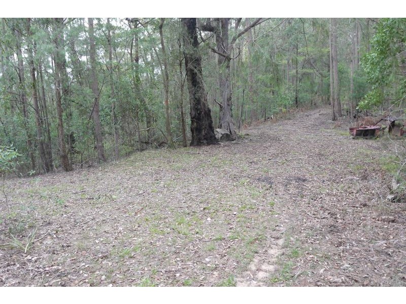 Lot 144 & 145 Brush Creek Road, Cedar Brush Creek NSW 2259