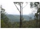 Lot 144 & 145 Brush Creek Road, Cedar Brush Creek NSW 2259