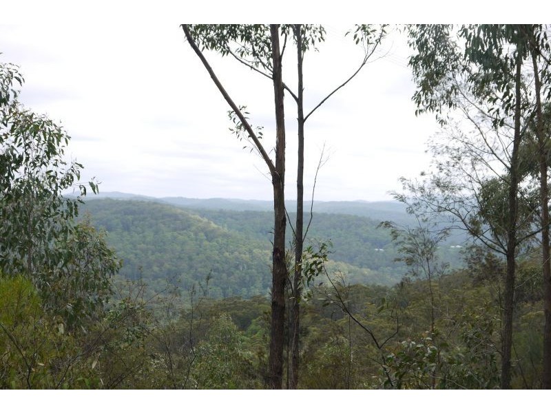Lot 144 & 145 Brush Creek Road, Cedar Brush Creek NSW 2259