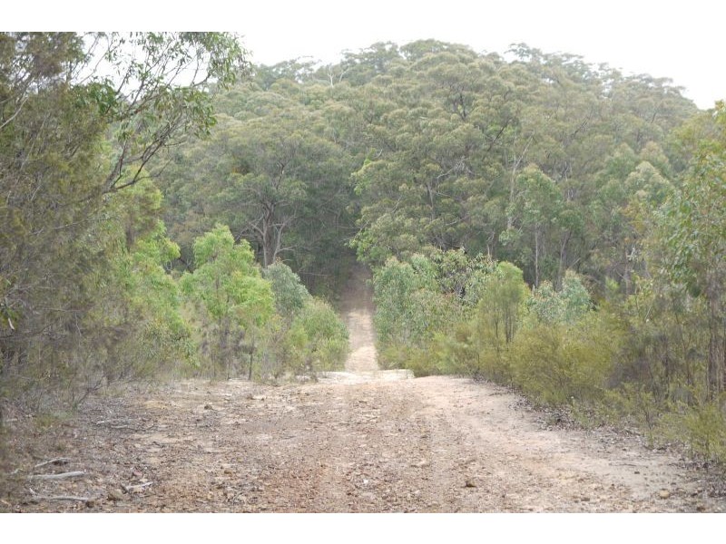 Lot 144 & 145 Brush Creek Road, Cedar Brush Creek NSW 2259