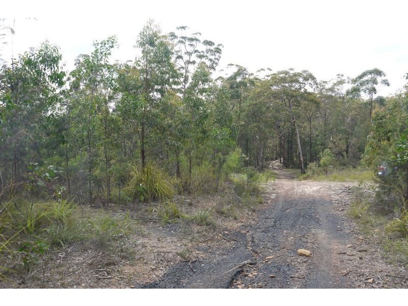 Lot 144 & 145 Brush Creek Road, Cedar Brush Creek NSW 2259