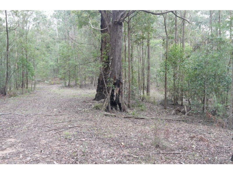 Lot 144 & 145 Brush Creek Road, Cedar Brush Creek NSW 2259